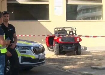 tragedia slynchev briag