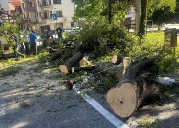 Снимка от Община Асеновград