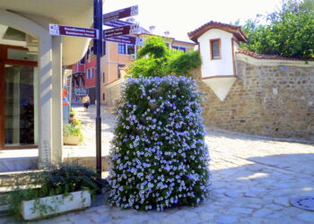 old plovdiv