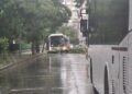 Кадър: Plovdiv Daily