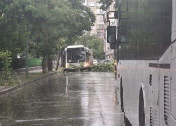 Кадър: Plovdiv Daily