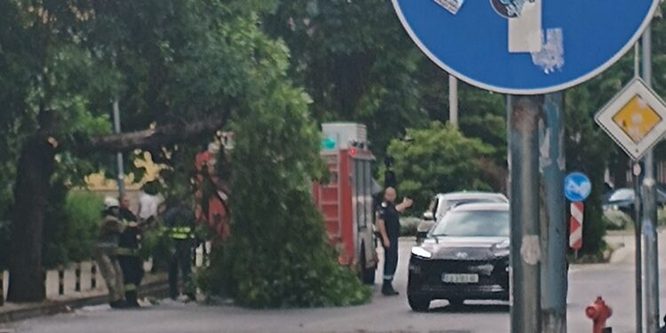 Кадър: Plovdiv Daily
