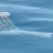 dron