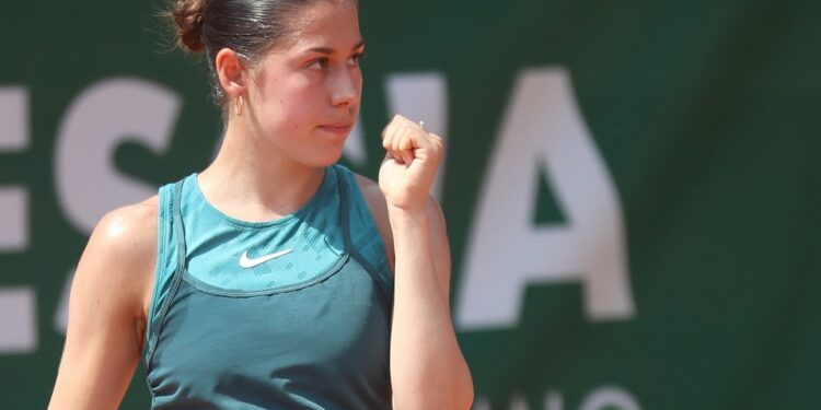 elizara qneva italiq