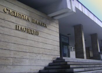 sadebna palata e1782844374109