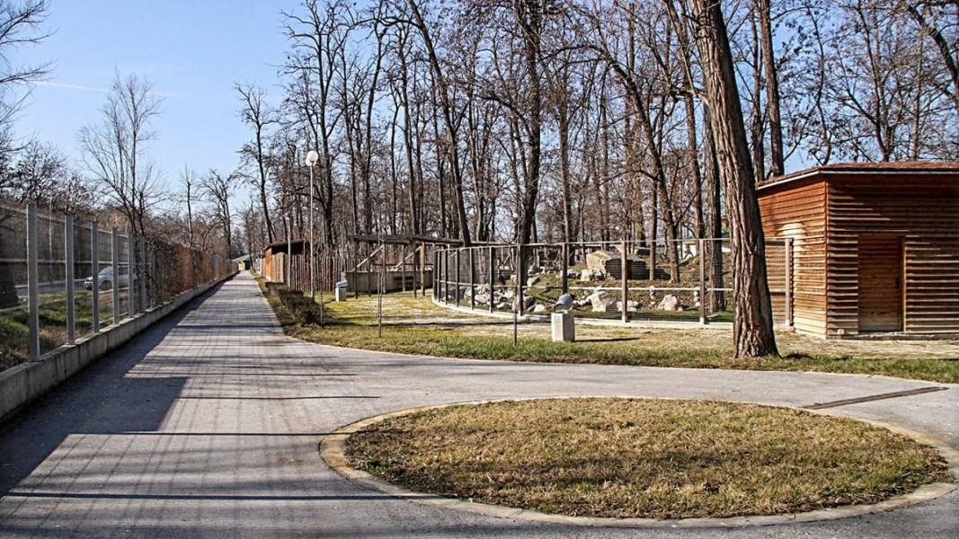 zoopark povdiv photo