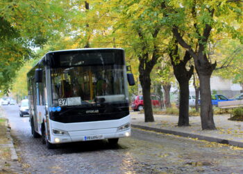 №37