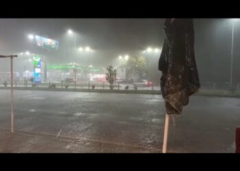 Буря връхлетя Пловдив: Дърво падна върху бул. „България“