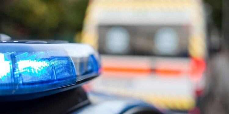 linejka policiia