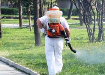 Комарите отново са на прицел: Ето къде ще пръскат в Пловдив
