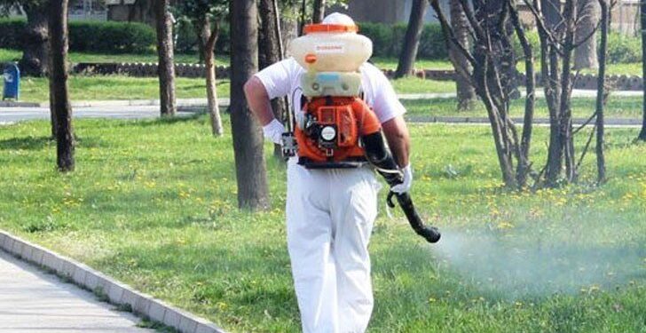 plovdiv praskane komari