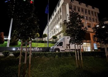 Спасен от адския пожар: Щъркел пренощува в асеновградската полиция