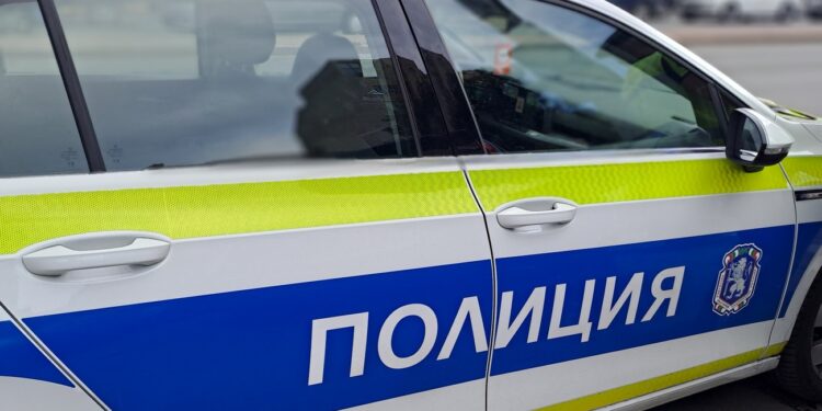 police 3