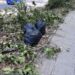 Кадър: Plovdiv Daily