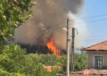 Пожар изпепели над 700 декара около Хисаря