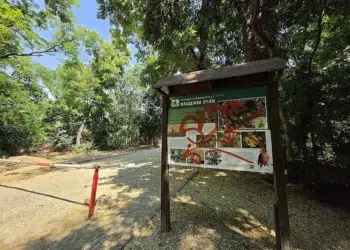 kusev 5