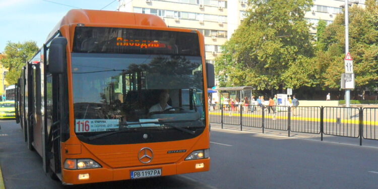 avtobus 116