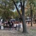 Снимка: Plovdiv Daily