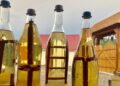 domashna rakia photo