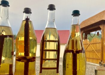 domashna rakia photo