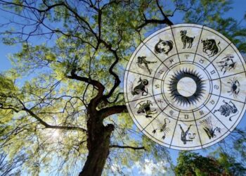 keltski horoscop 2