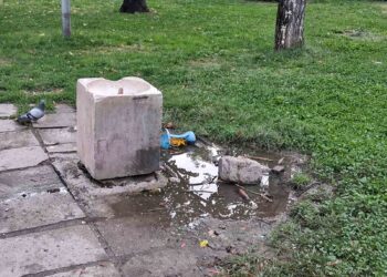 Пак ли от “Чистота” са виновни? Парк в “Южен” осъмна заринат с боклуци СНИМКИ