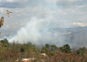 Пожарът край Михилци е овладян, но остави след себе си изгорели постройки