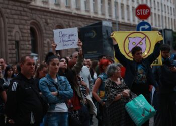 „Вече даже и прасетата летят“: Протест с искане за оставка на правителството