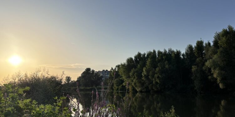 Снимка: Plovdiv Daily