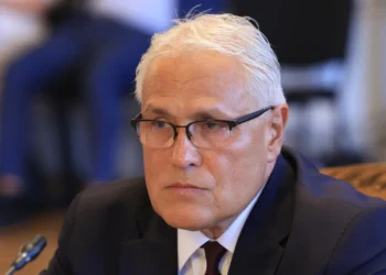 vladimir daskalov nzok