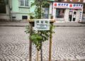 akciya dva chinara plovdiv3