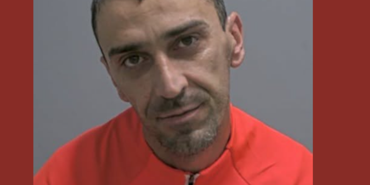 bulgarin anglia