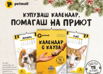 kalendar s kauza