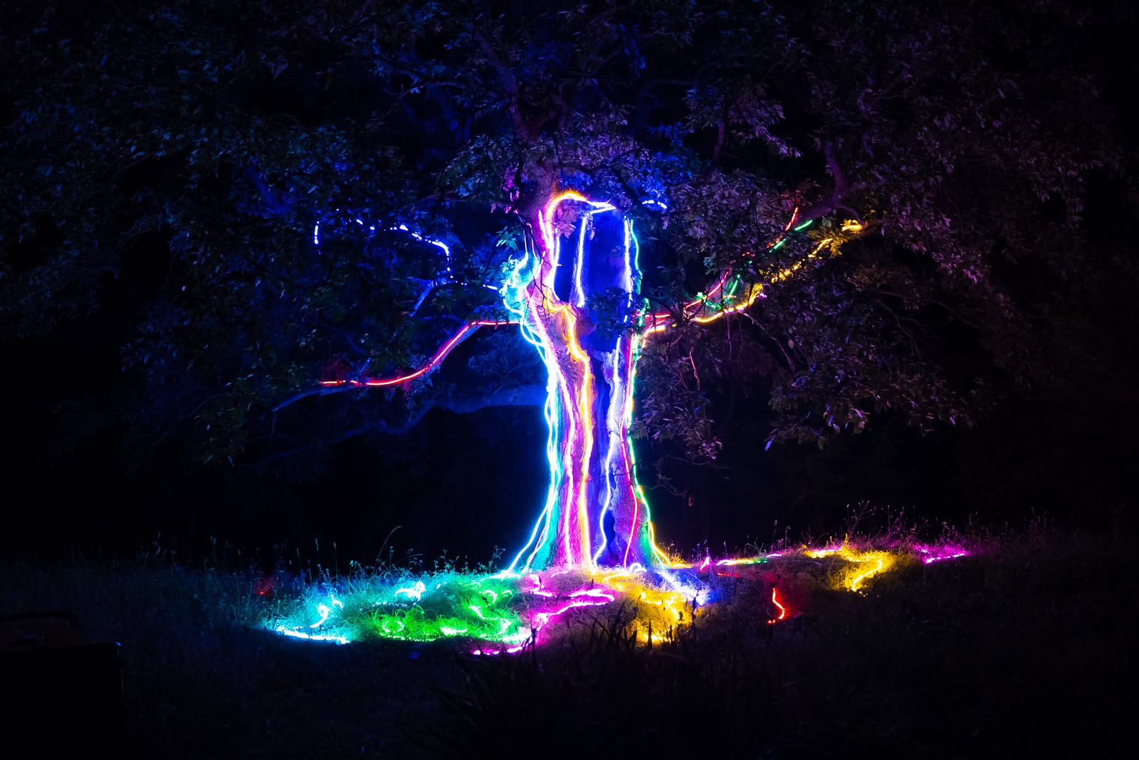 whisper of lights1