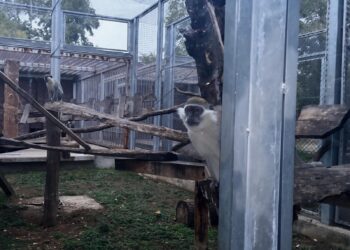 Снимка: Plovdiv Daily